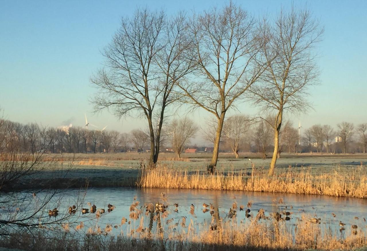Logies De Meerkoet Brugge Eksteriør billede