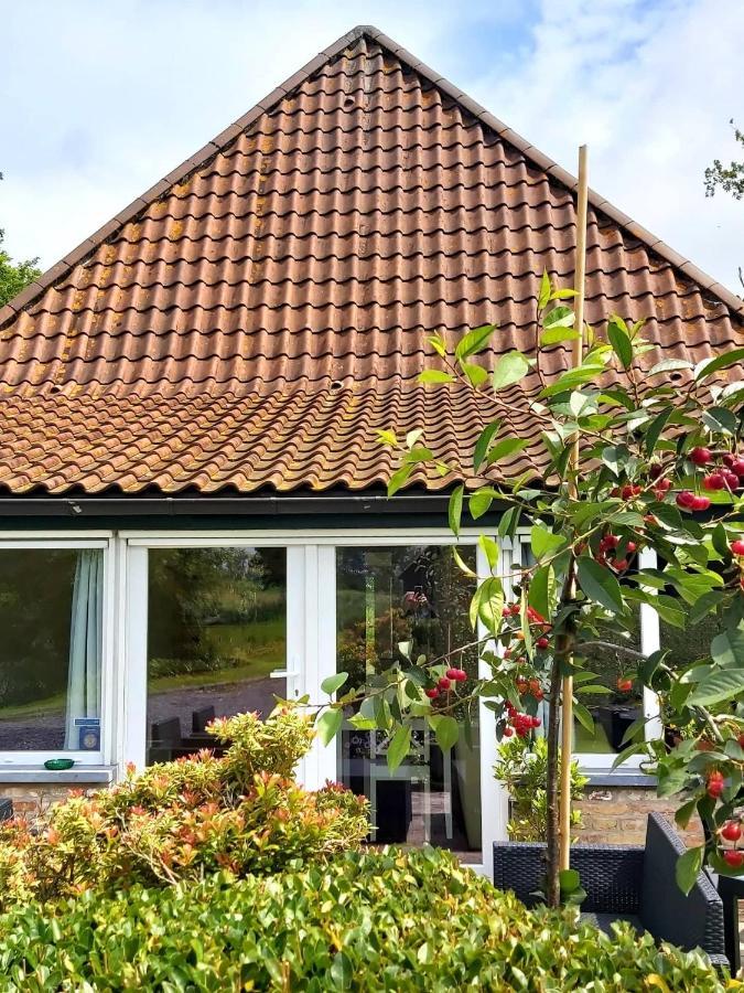 Logies De Meerkoet Brugge Eksteriør billede