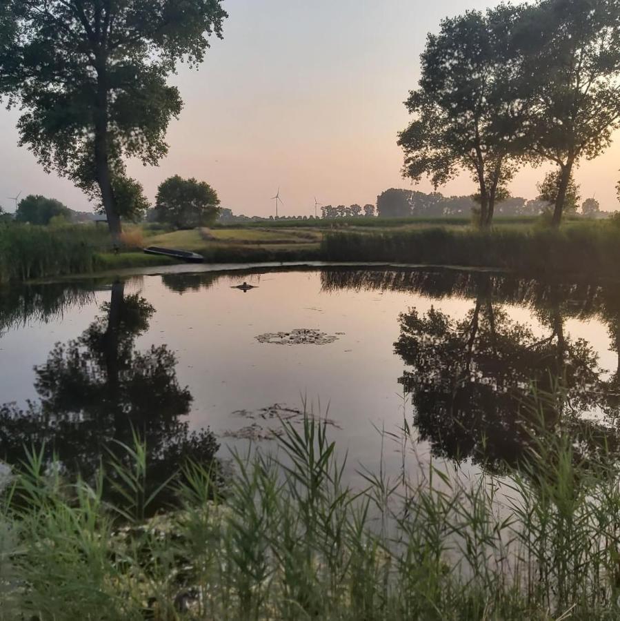 Logies De Meerkoet Brugge Eksteriør billede