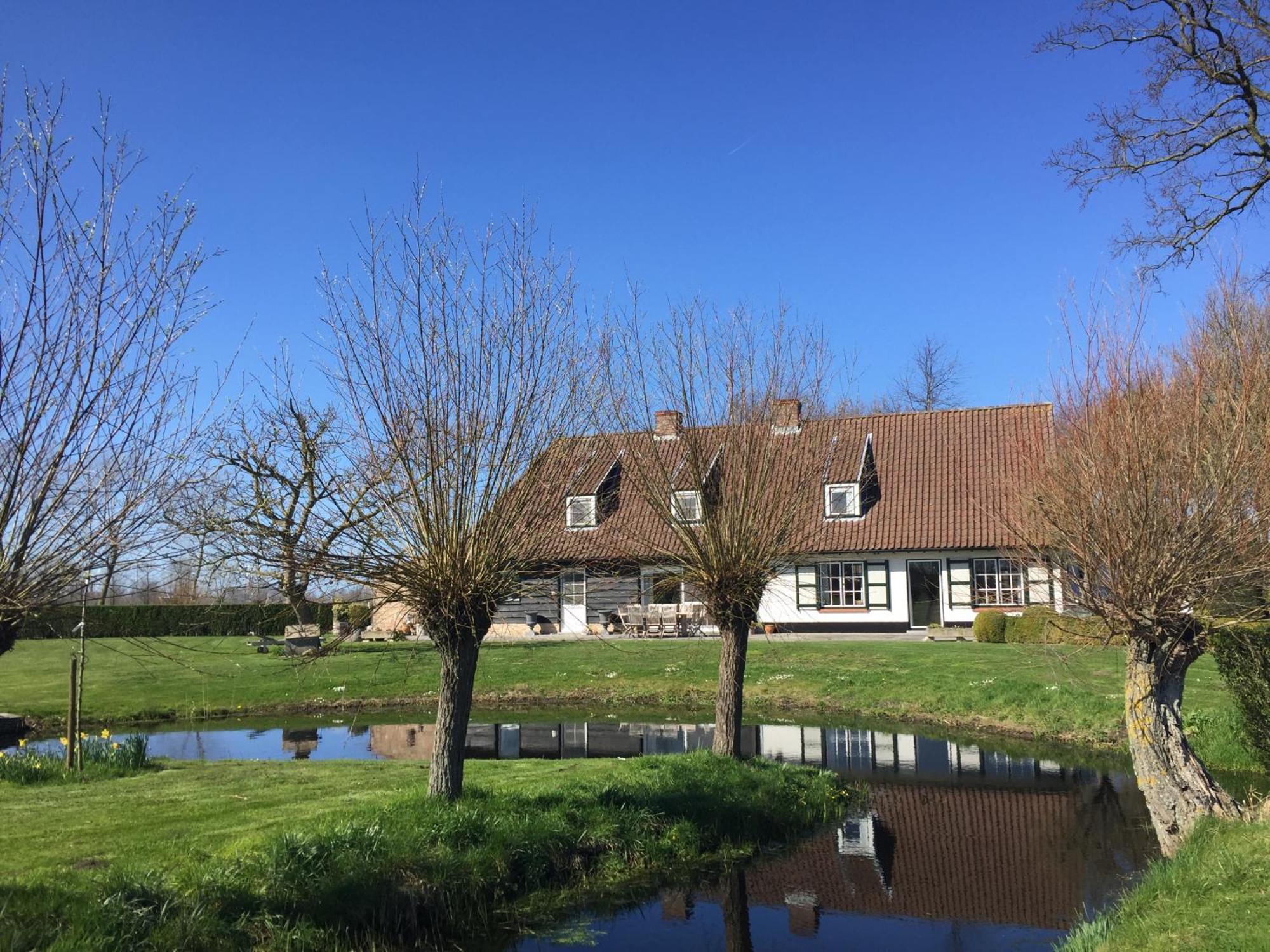 Logies De Meerkoet Brugge Eksteriør billede